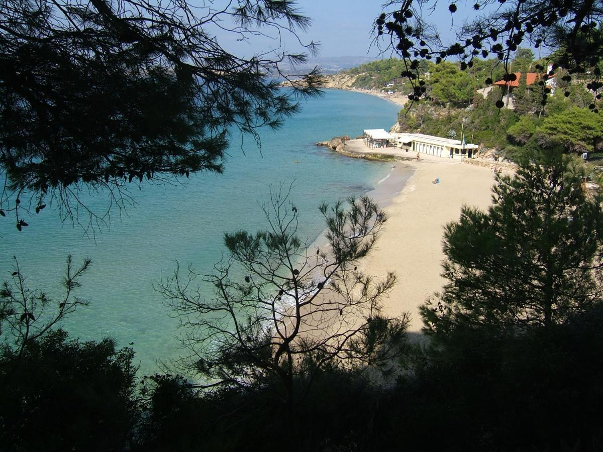 Anna'S Studios Argostoli  Buitenkant foto