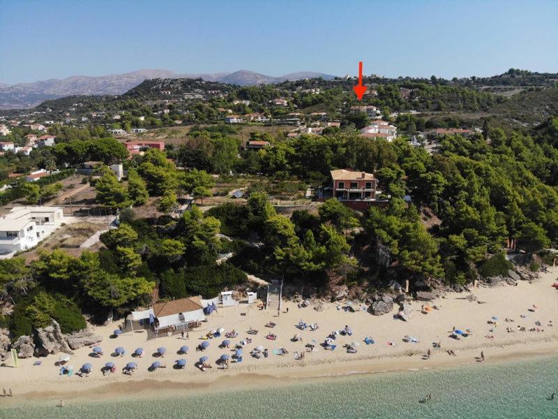Anna'S Studios Argostoli  Buitenkant foto